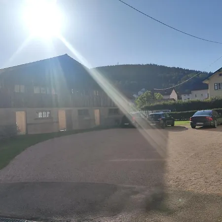 Le Cozy Nest Apartment Gerardmer Exterior photo